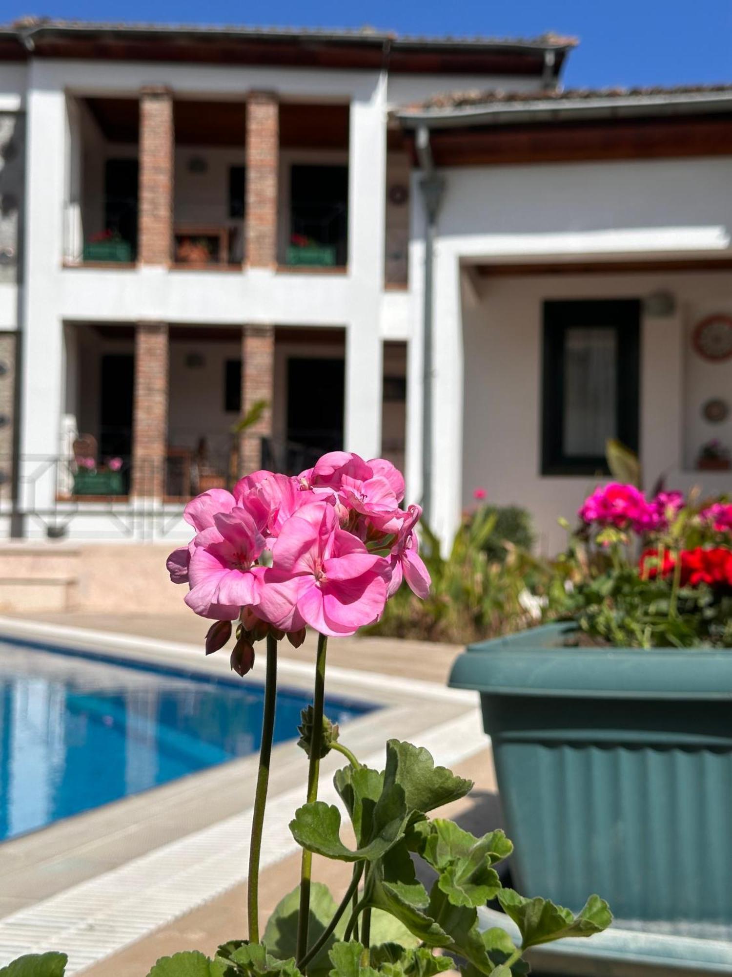 Akay Hotel Selçuk Buitenkant foto